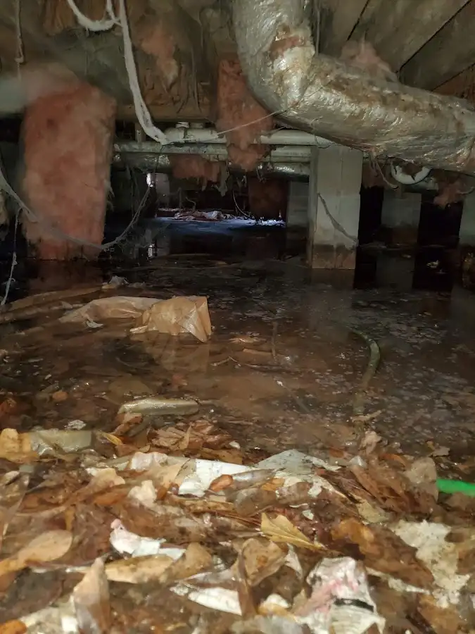 Crawl space flood assessment for Leak Detection & Repair in Sebring